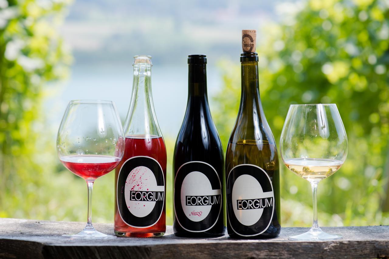 Weingut Georgium Bed & Breakfast Sankt Georgen am Langsee Luaran gambar