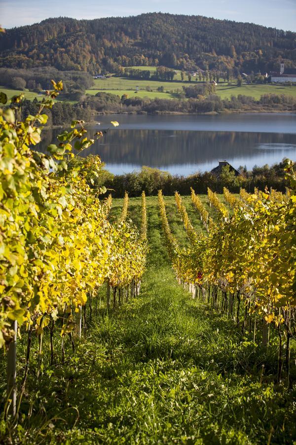 Weingut Georgium Bed & Breakfast Sankt Georgen am Langsee Luaran gambar